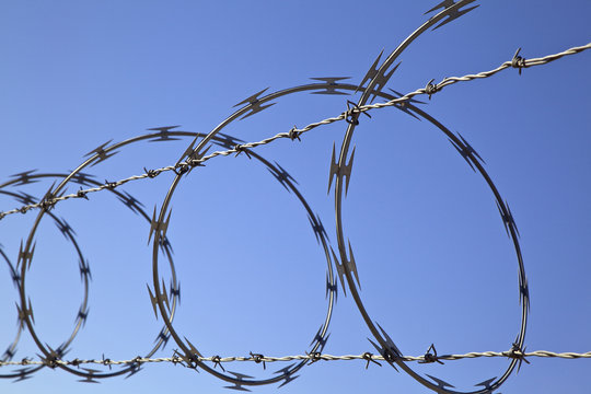 Razor wire CBT 65 10Mtrs - Image 2